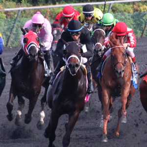 Arlington Park